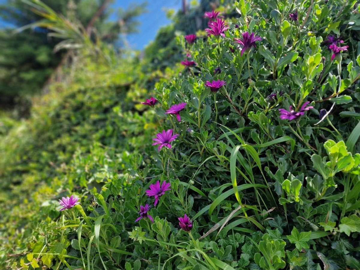 Madeira Sunset Cottage - Nature Retreat Ponta do Pargo Exterior foto